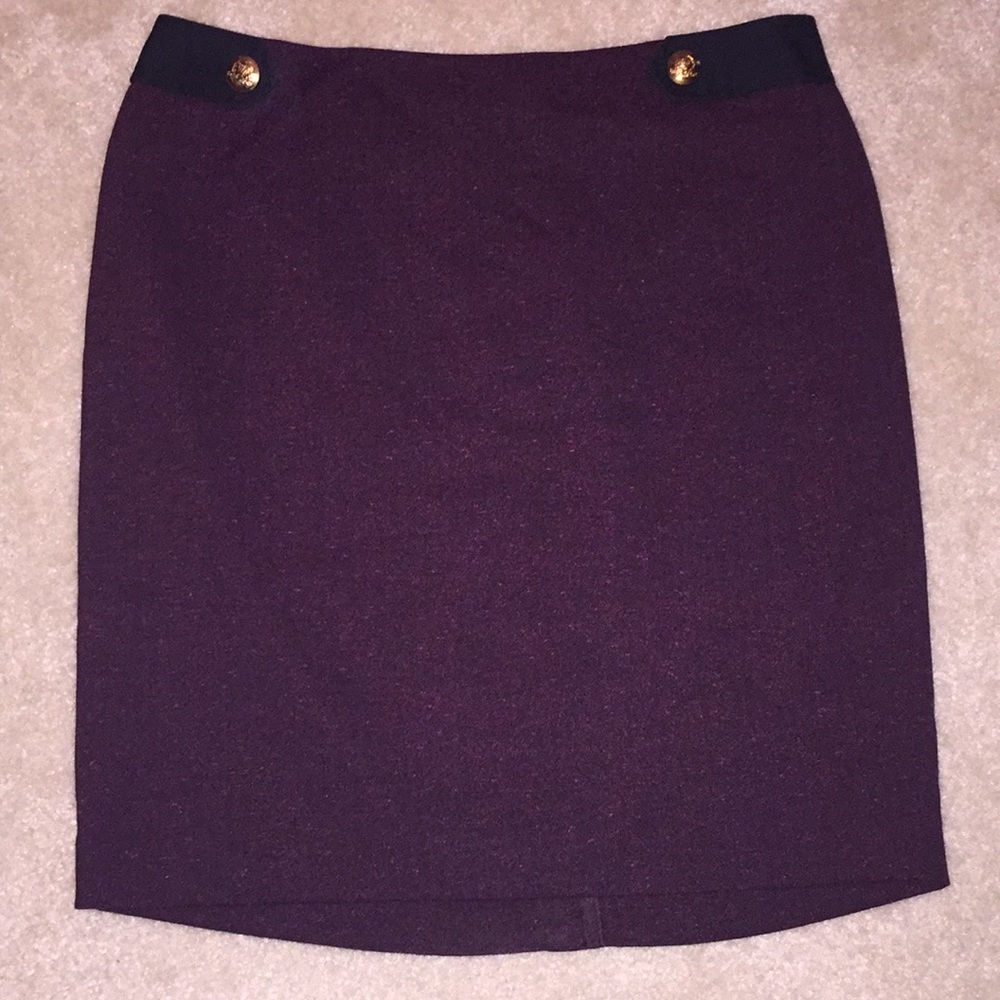 The Limited Skirt